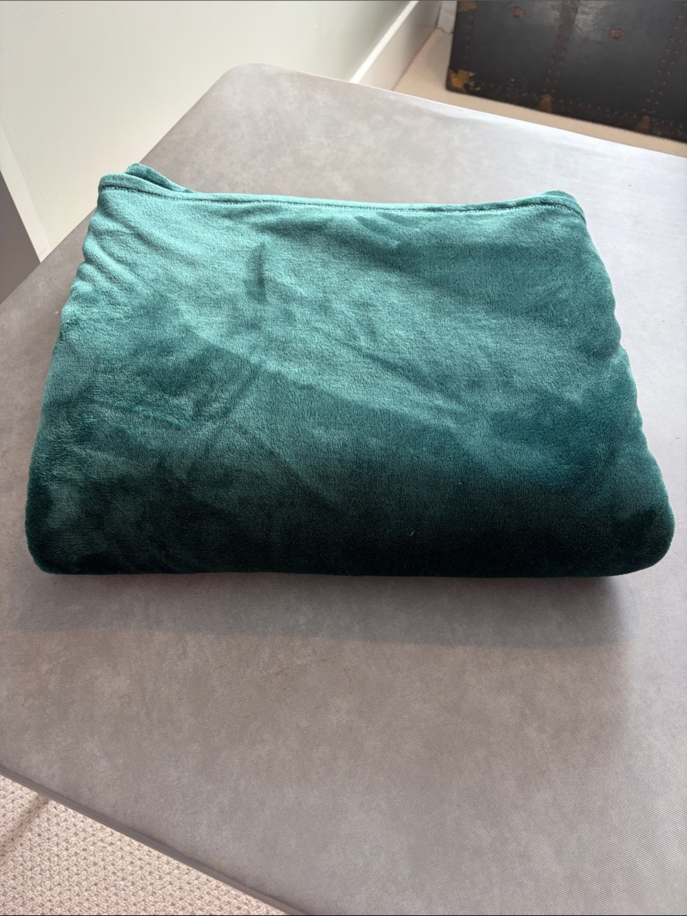 Dark Green/Dark Teal Silky Plush Throw Blanket